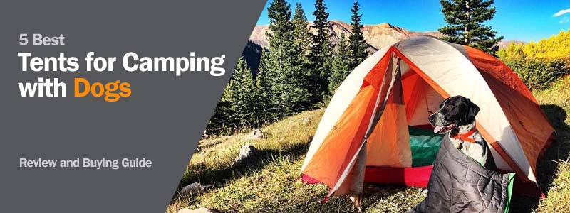5 Top Tents for Camping with dogs Review
