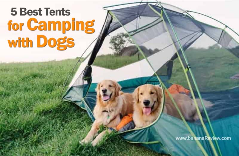 best tents for camping with dogs