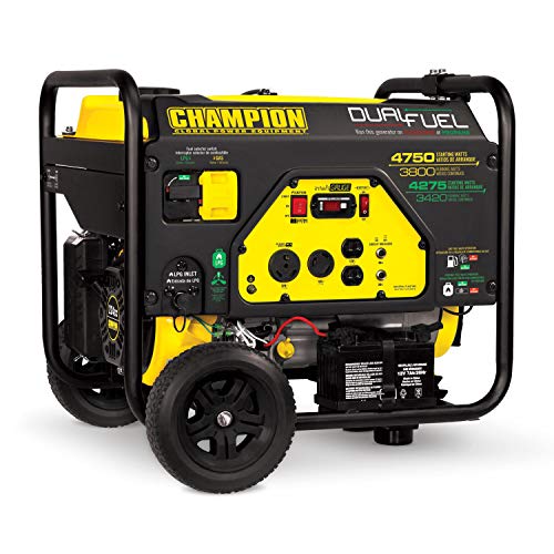 Champion Power Equipment 76533 Generator